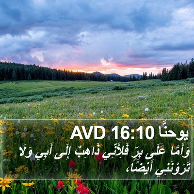 يوحنَّا 16:10 AVD Bible Verse Image
