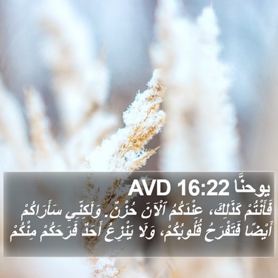 يوحنَّا 16:22 AVD Bible Verse Image