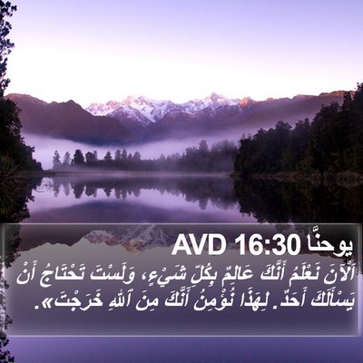 يوحنَّا 16:30 AVD Bible Verse Image