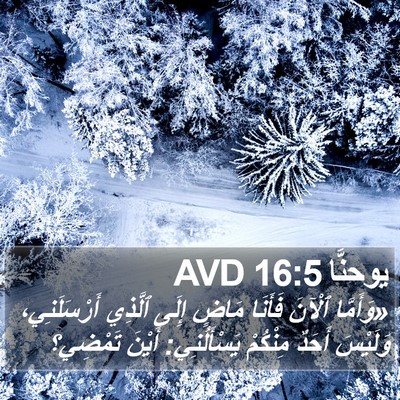 يوحنَّا 16:5 AVD Bible Verse Image
