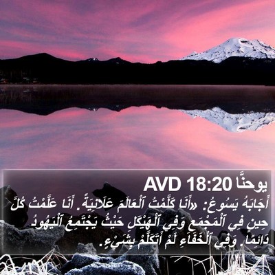 يوحنَّا 18:20 AVD Bible Verse Image