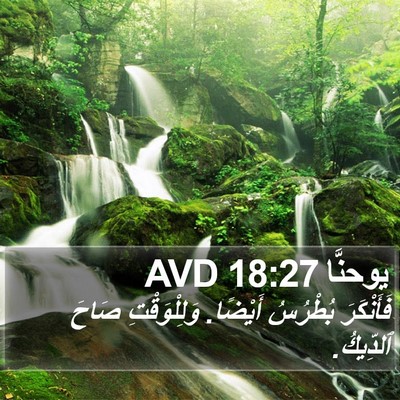 يوحنَّا 18:27 AVD Bible Verse Image