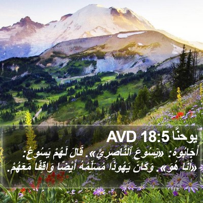 يوحنَّا 18:5 AVD Bible Verse Image