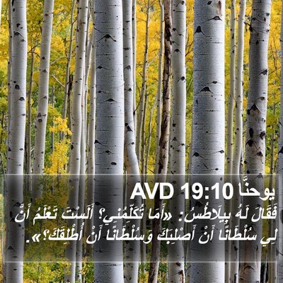 يوحنَّا 19:10 AVD Bible Verse Image