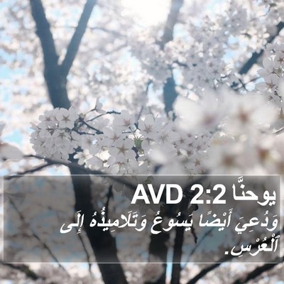 يوحنَّا 2:2 AVD Bible Verse Image