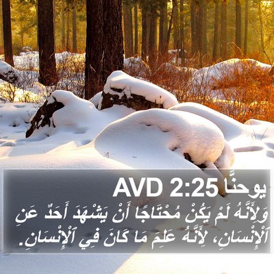 يوحنَّا 2:25 AVD Bible Verse Image
