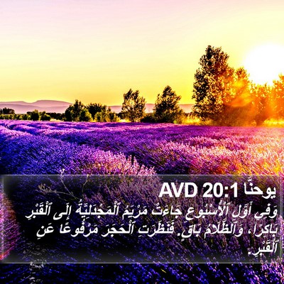 يوحنَّا 20:1 AVD Bible Verse Image
