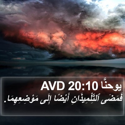 يوحنَّا 20:10 AVD Bible Verse Image