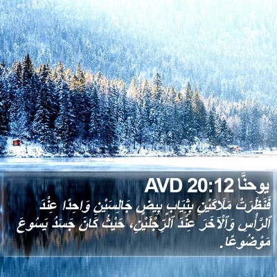 يوحنَّا 20:12 AVD Bible Verse Image