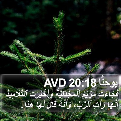 يوحنَّا 20:18 AVD Bible Verse Image