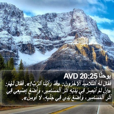 يوحنَّا 20:25 AVD Bible Verse Image