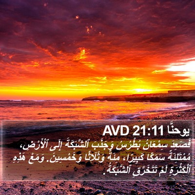 يوحنَّا 21:11 AVD Bible Verse Image