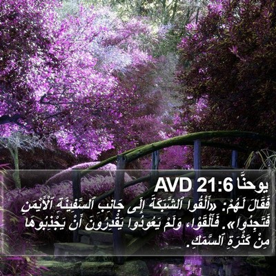 يوحنَّا 21:6 AVD Bible Verse Image