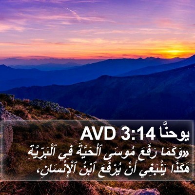 يوحنَّا 3:14 AVD Bible Verse Image