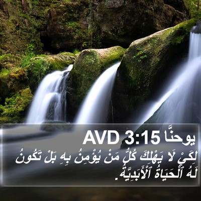 يوحنَّا 3:15 AVD Bible Verse Image