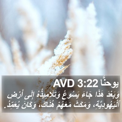 يوحنَّا 3:22 AVD Bible Verse Image