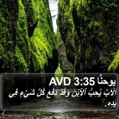 يوحنَّا 3:35 AVD Bible Verse Image