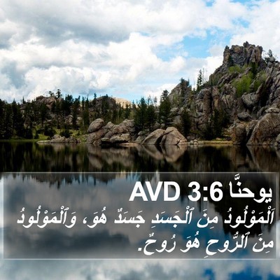 يوحنَّا 3:6 AVD Bible Verse Image