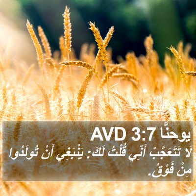 يوحنَّا 3:7 AVD Bible Verse Image