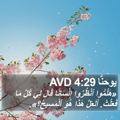 يوحنَّا 4:29 AVD Bible Verse Image