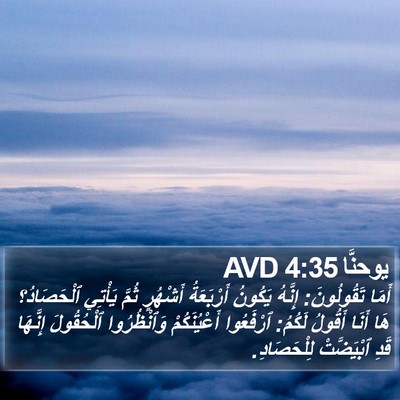 يوحنَّا 4:35 AVD Bible Verse Image