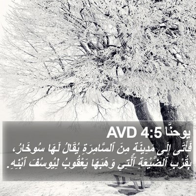 يوحنَّا 4:5 AVD Bible Verse Image