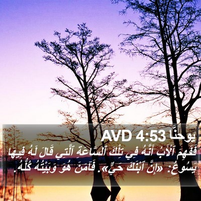 يوحنَّا 4:53 AVD Bible Verse Image