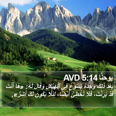 يوحنَّا 5:14 AVD Bible Verse Image
