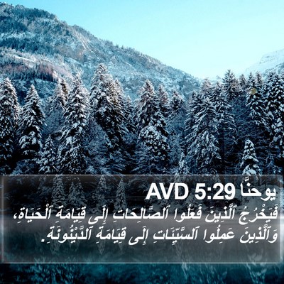 يوحنَّا 5:29 AVD Bible Verse Image