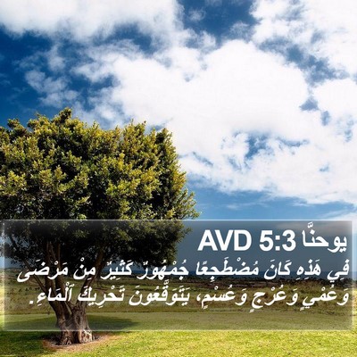 يوحنَّا 5:3 AVD Bible Verse Image