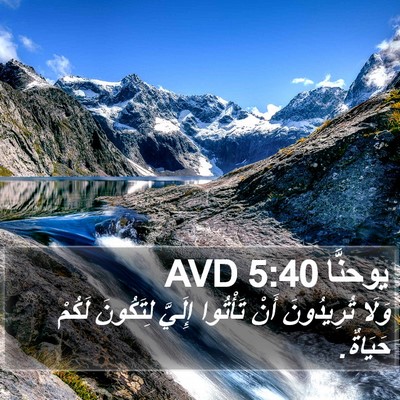 يوحنَّا 5:40 AVD Bible Verse Image