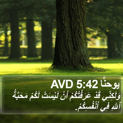 يوحنَّا 5:42 AVD Bible Verse Image
