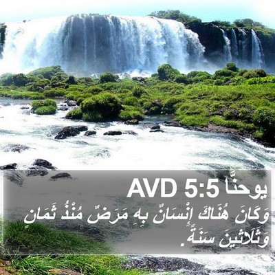يوحنَّا 5:5 AVD Bible Verse Image