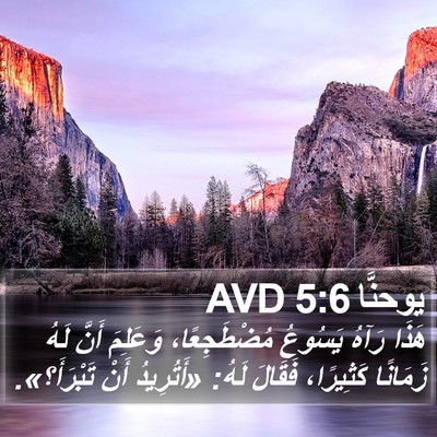 يوحنَّا 5:6 AVD Bible Verse Image