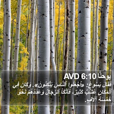 يوحنَّا 6:10 AVD Bible Verse Image
