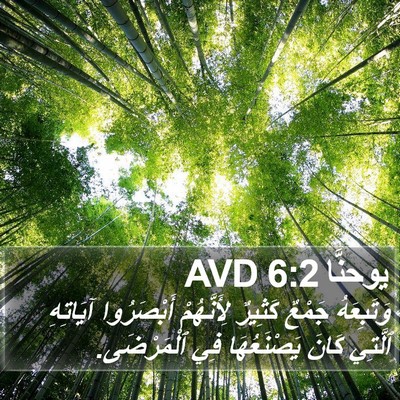 يوحنَّا 6:2 AVD Bible Verse Image