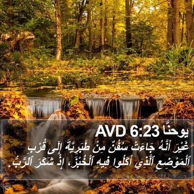 يوحنَّا 6:23 AVD Bible Verse Image