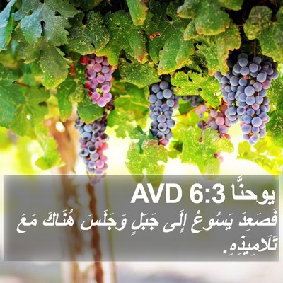 يوحنَّا 6:3 AVD Bible Verse Image