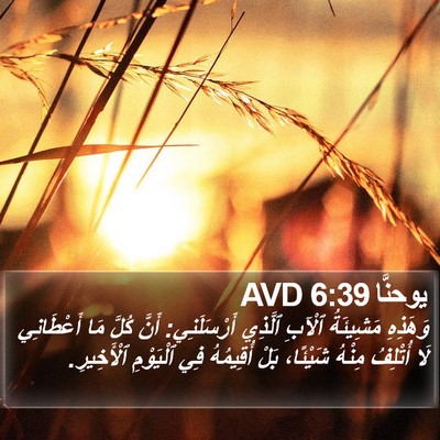 يوحنَّا 6:39 AVD Bible Verse Image