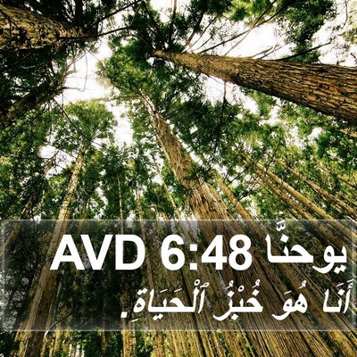 يوحنَّا 6:48 AVD Bible Verse Image