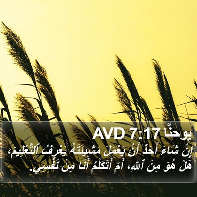 يوحنَّا 7:17 AVD Bible Verse Image