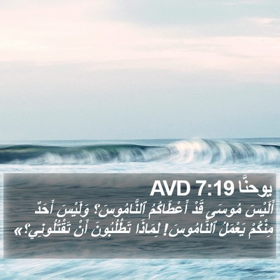 يوحنَّا 7:19 AVD Bible Verse Image