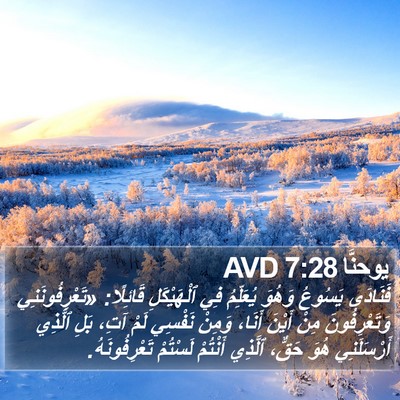 يوحنَّا 7:28 AVD Bible Verse Image
