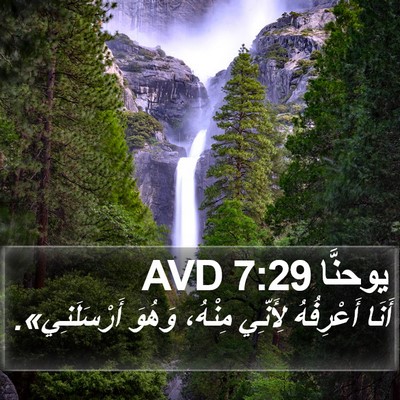 يوحنَّا 7:29 AVD Bible Verse Image