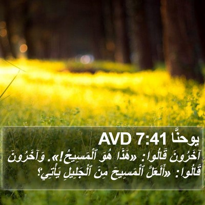 يوحنَّا 7:41 AVD Bible Verse Image