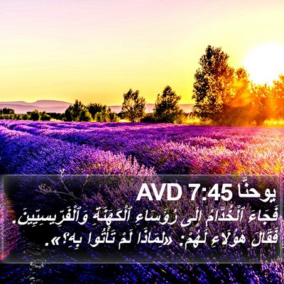 يوحنَّا 7:45 AVD Bible Verse Image