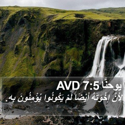 يوحنَّا 7:5 AVD Bible Verse Image