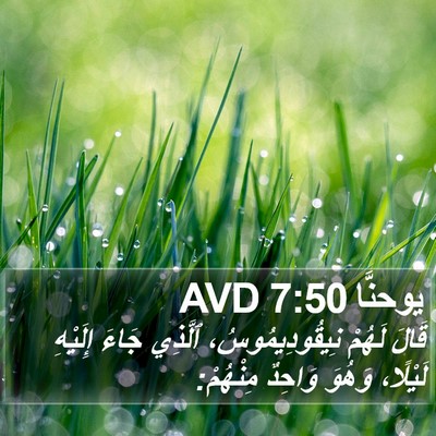 يوحنَّا 7:50 AVD Bible Verse Image