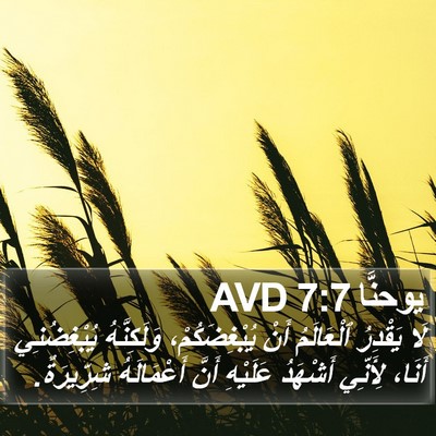 يوحنَّا 7:7 AVD Bible Verse Image