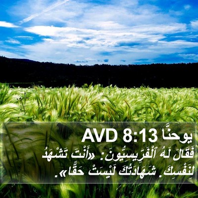 يوحنَّا 8:13 AVD Bible Verse Image